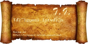 Tölgyesi István névjegykártya